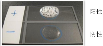 過(guò)氧化氫酶試驗(yàn)圖片