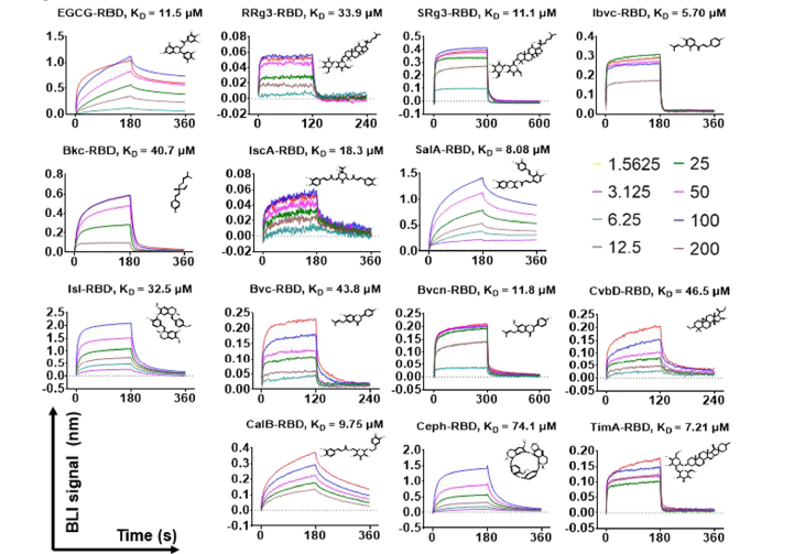 1652422613409670_8.png 1652422613409670_8.png