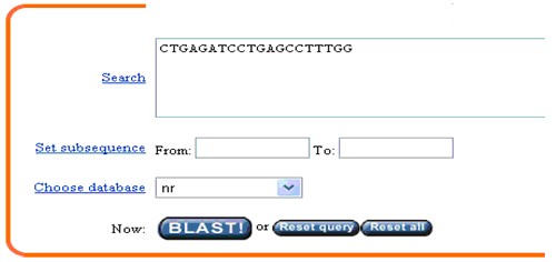 一步步教你利用Blast分析驗證引物序列