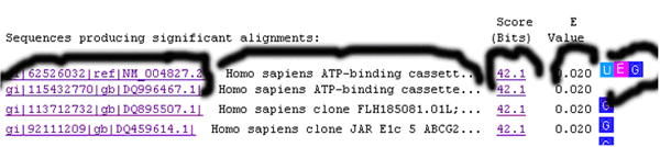 一步步教你利用Blast分析驗證引物序列